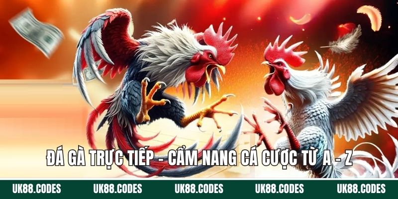 đá gà trực tiếp