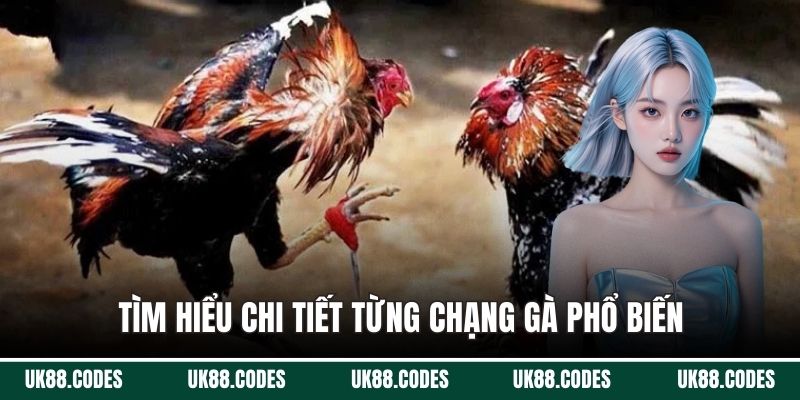 Tìm hiểu chi tiết từng chạng gà phổ biến